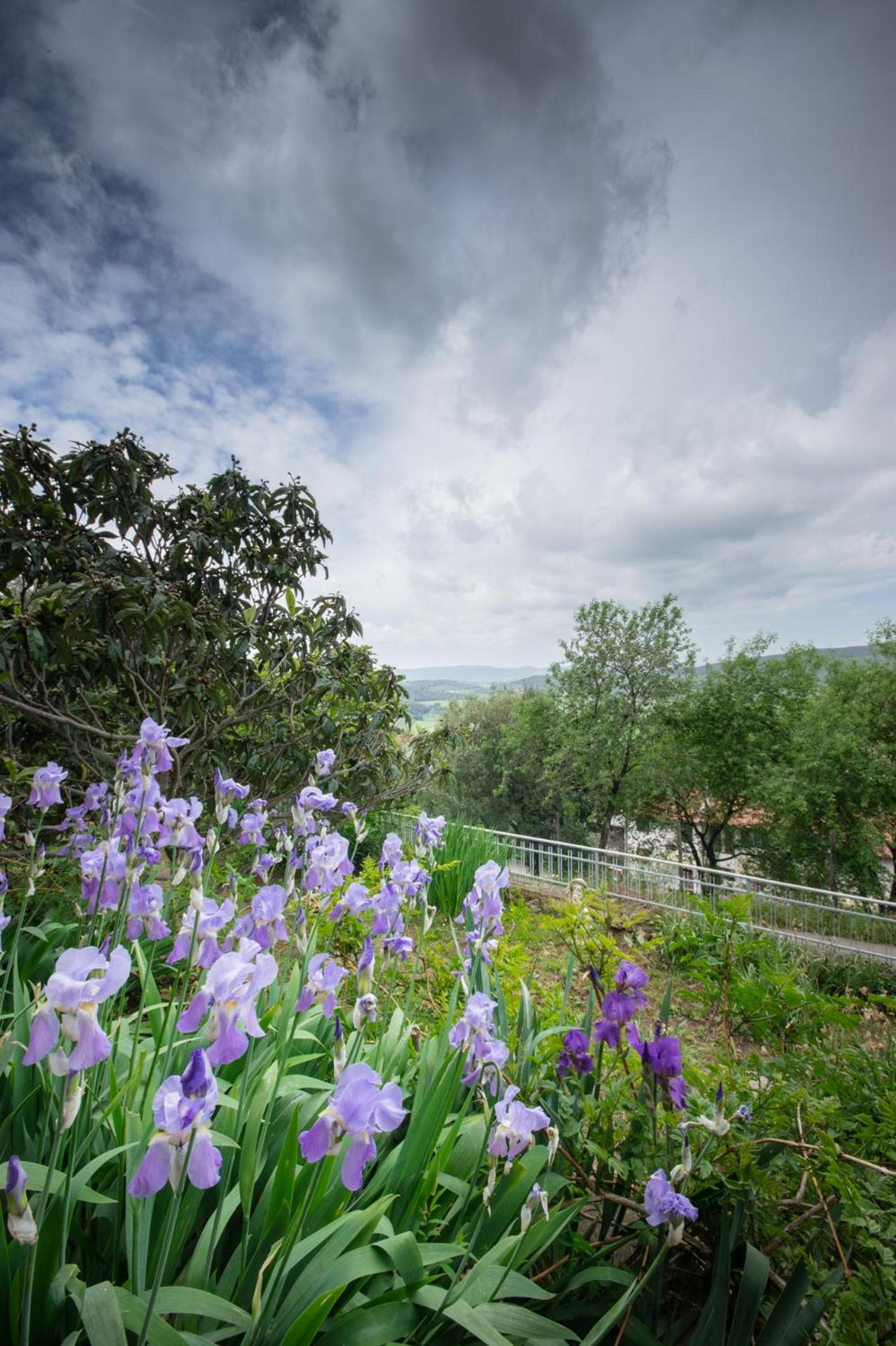 Villa Panoramica Garden Bike Massa Marittima Luaran gambar